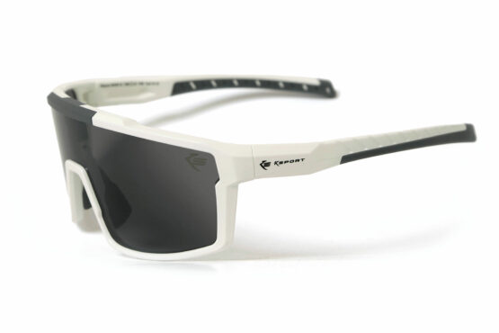 Kours-RX01 bientôt disponible – Image 3